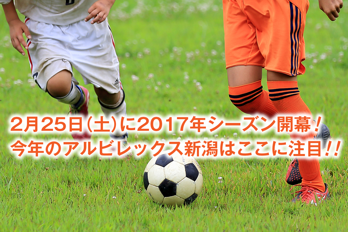 2017年のアルビレックス新潟はここに注目!